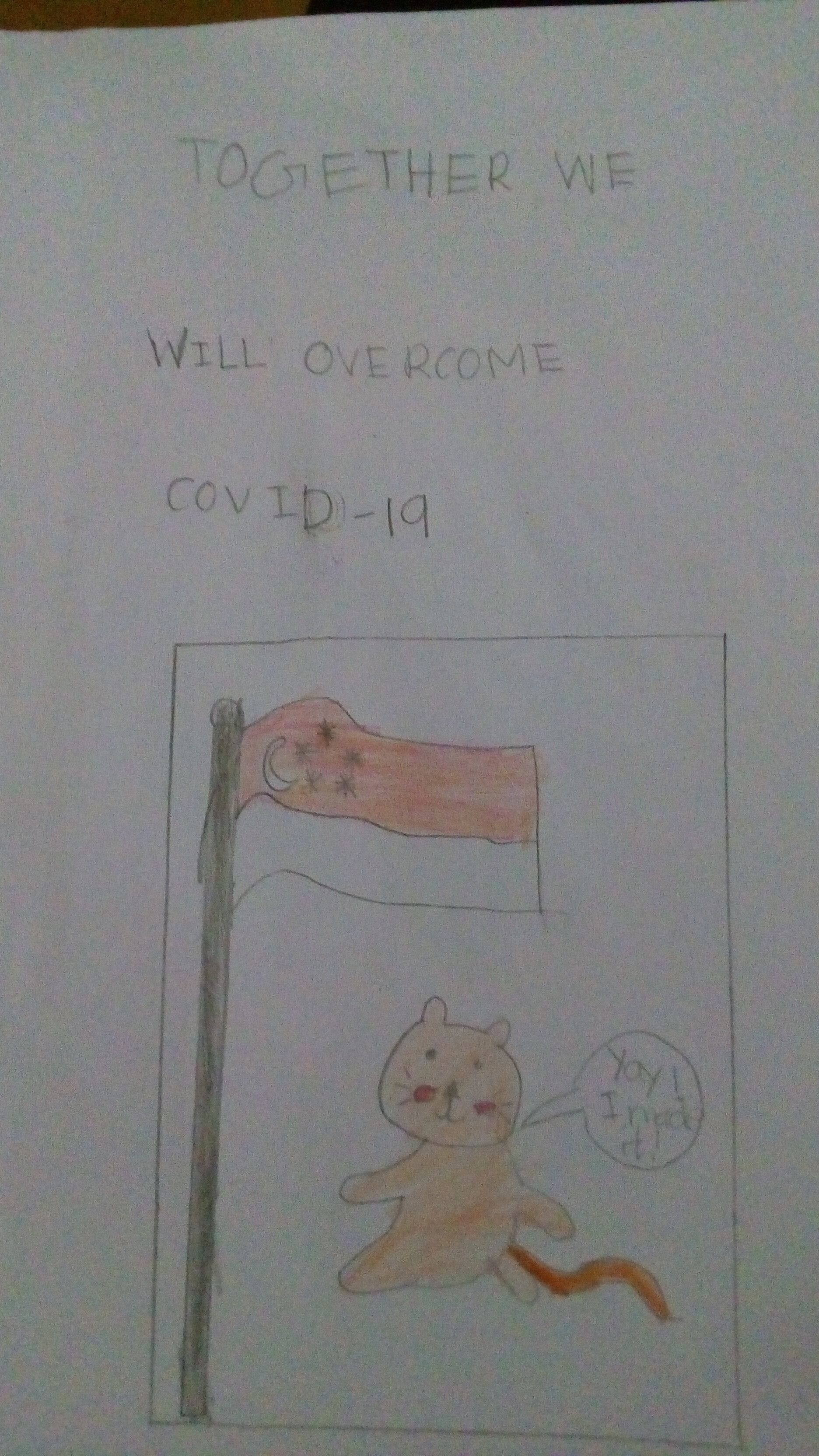 Child's drawing with text "Together We Will Overcome COVID-19," showing a cat near a flag with stars.